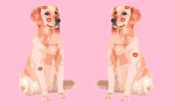 Dog Love Vanity Tray