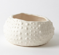 Urchin Bowl Small