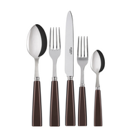 Icone Flatware 5 Piece Setting