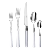 Doric Flatware 5 Piece Setting  - Clear