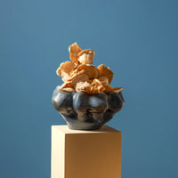 A Timna Coupe - Aged Iron bowl by L’Objet, with a beautiful reactive glaze, filled with dried oyster mushrooms, sits on a beige pedestal against a solid blue background.