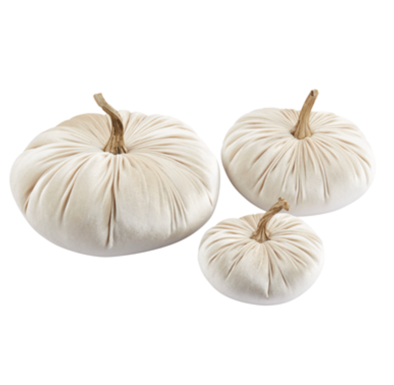 Velvet Pumpkins Set of 6 - Ivory