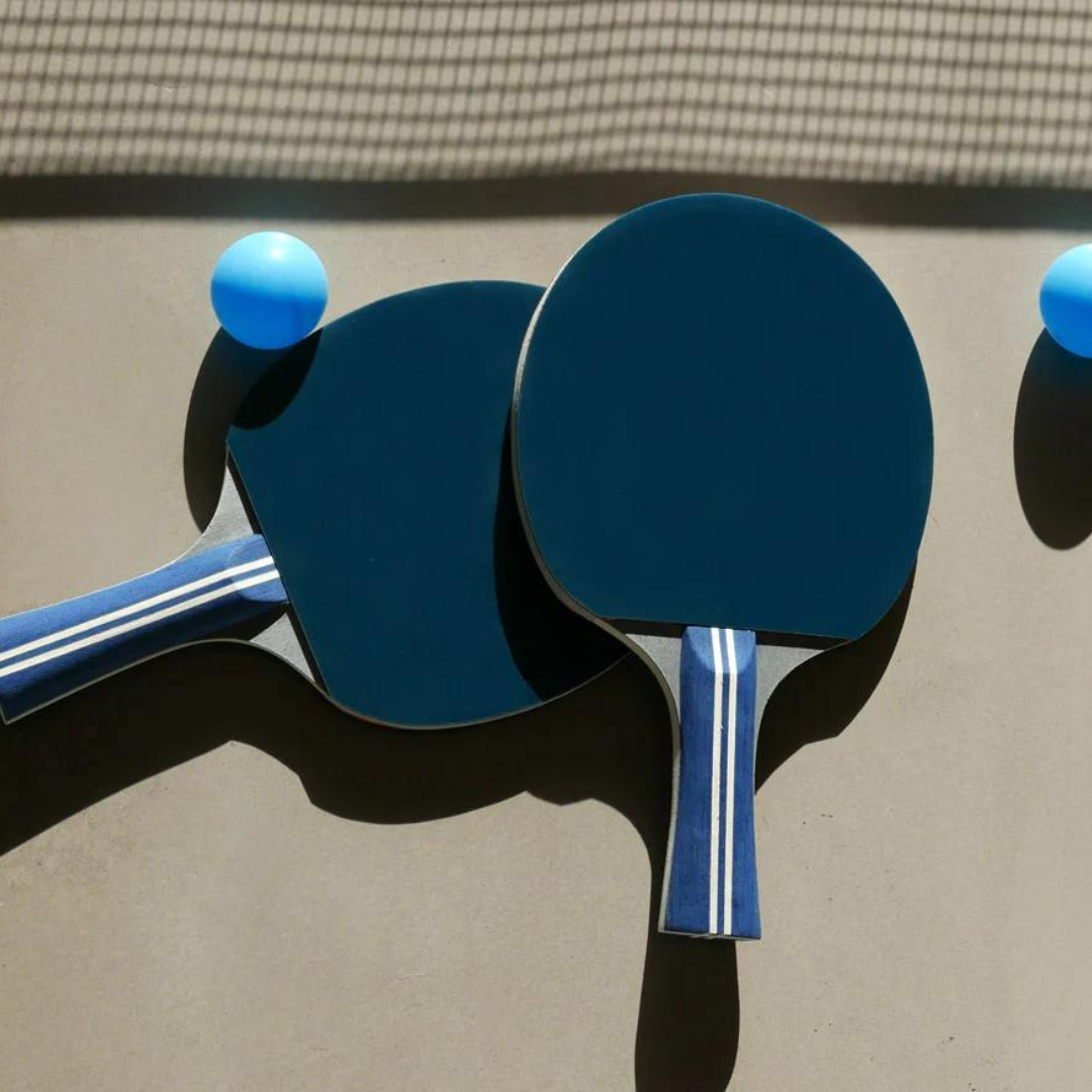 Portable Ping Pong