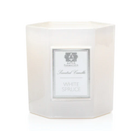 White Spruce Candle