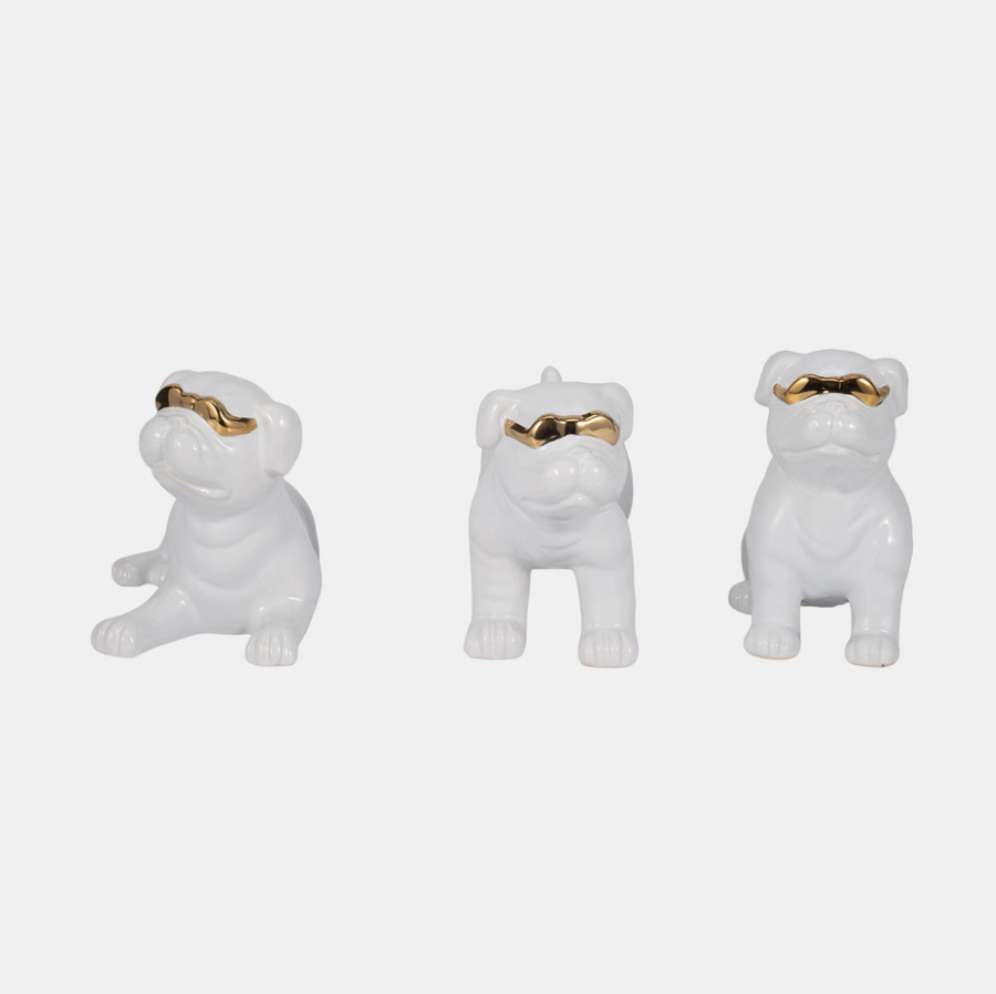 Pug Dog With  Gold Sunglasses