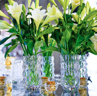 Louxor Round Vase 230 - Clear