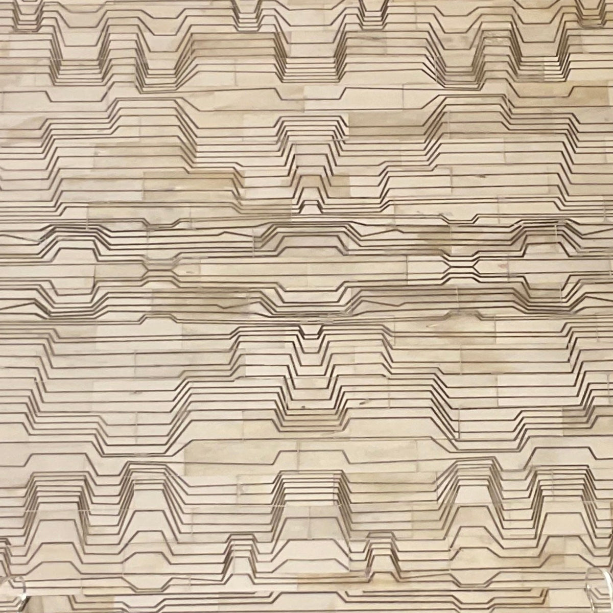 Circuit Bone Tray  Large