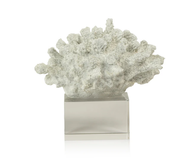 The Zodax Coral Sculpture on Acrylic Base adds coastal charm with its decorative white coral atop a clear acrylic base, shown against a plain white background.