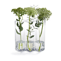 Pergola Clear Vase