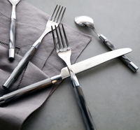 Conty Flatware 5 Piece Setting