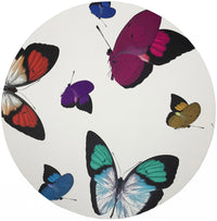 Butterfly Placemat Set of 4