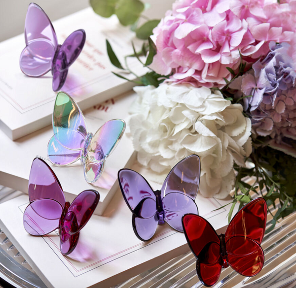 Papillon Lucky Butterfly Purple