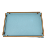 Sky blue Robert Rectangular tray with gold handles. 