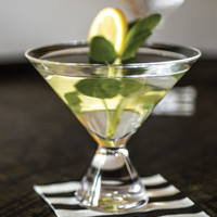 Westport Stemless Martini